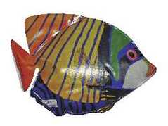 Turbo Tropical Fish